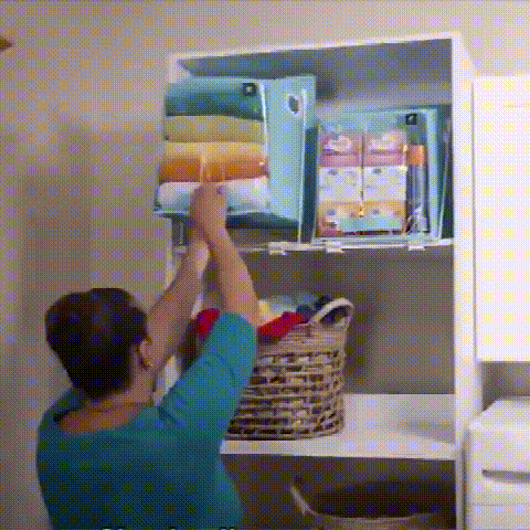 Swing Closet Storage Caddy Box