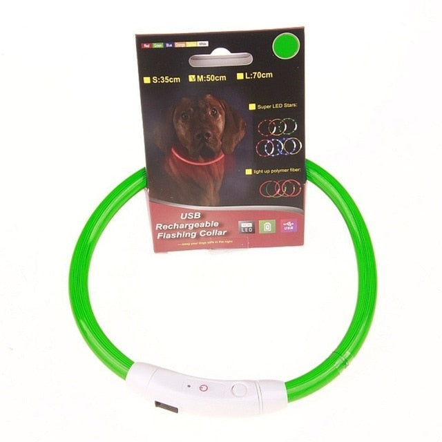 Night Safety  LED pet dog collar.