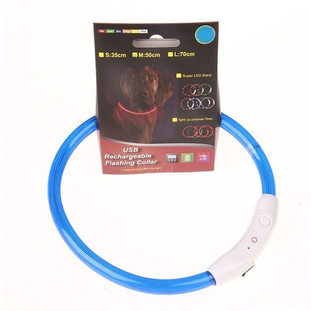 Night Safety  LED pet dog collar.