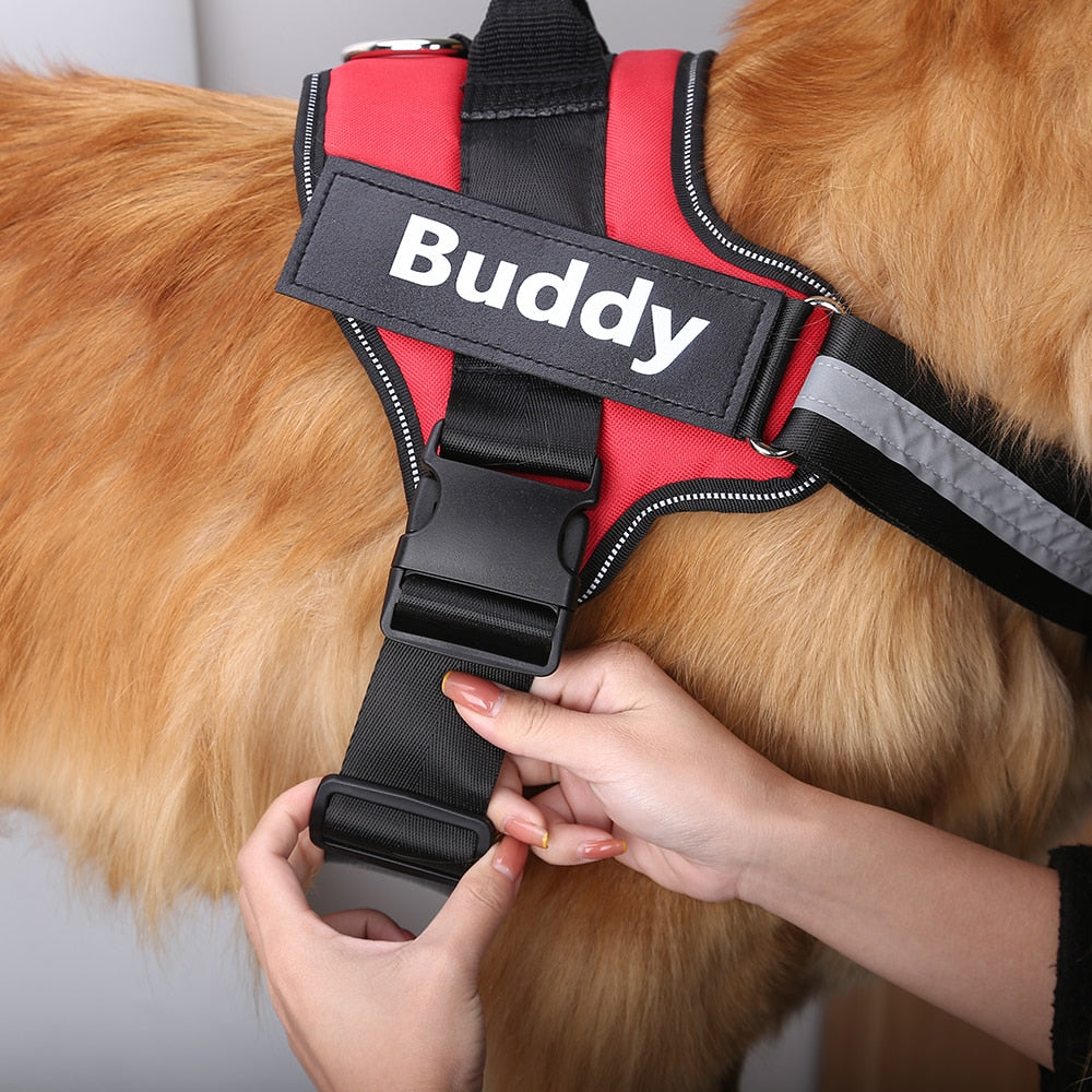 Personalized harness vest for pets, adjustable, breathable and reflective with name for dogs