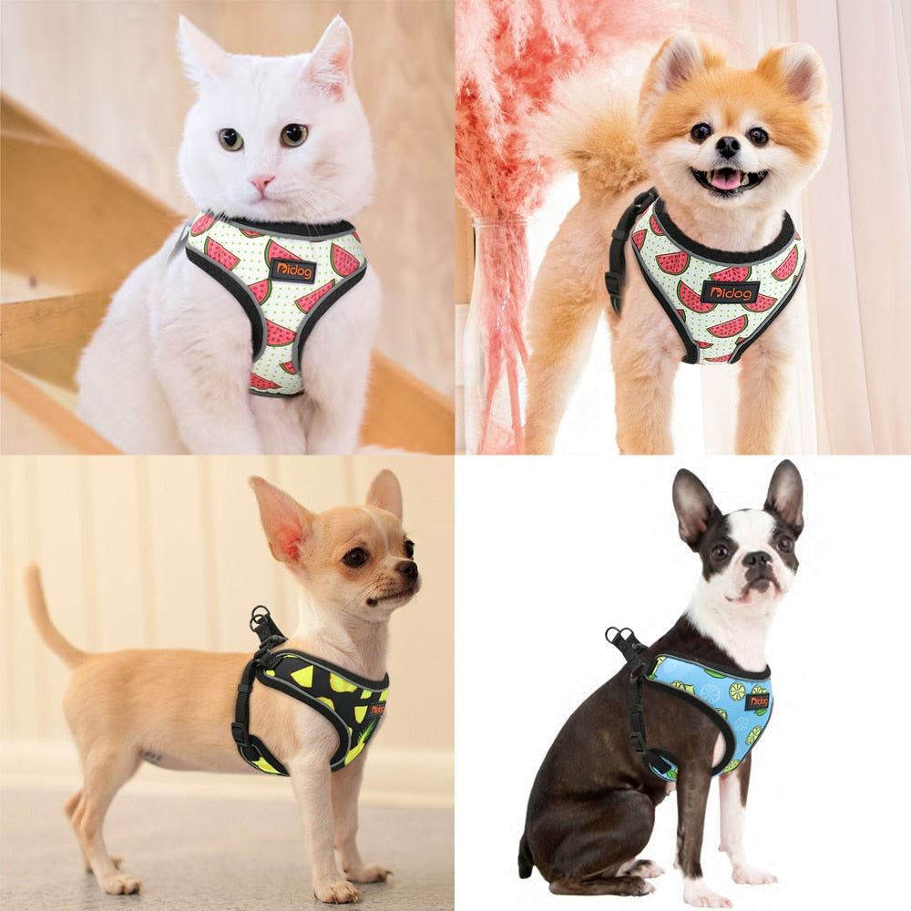 Reflective nylon harness for dogs and cats Printed medium small dog vest for cats