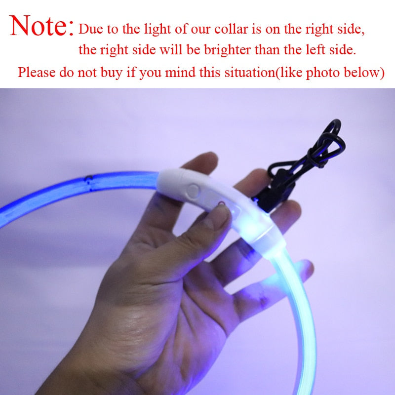 Night Safety  LED pet dog collar.