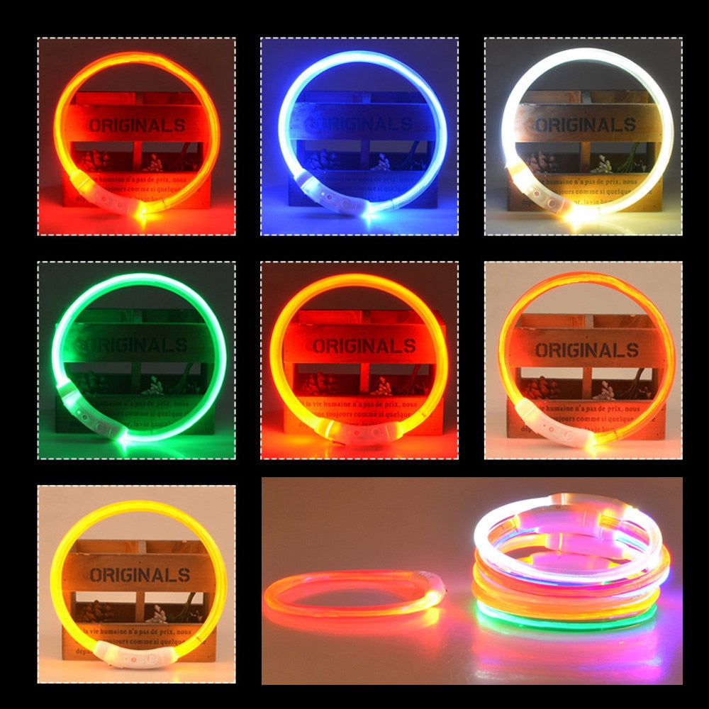 Night Safety  LED pet dog collar.