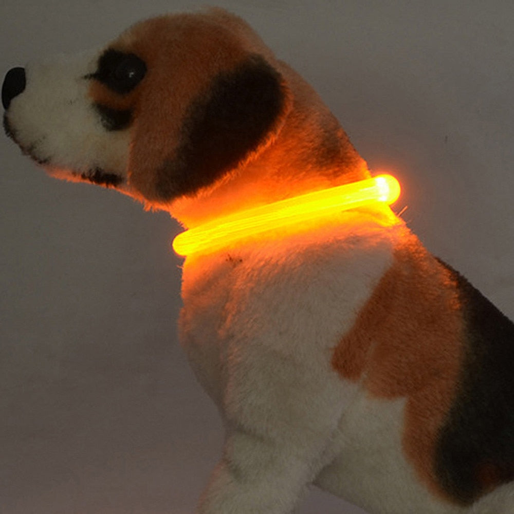 Night Safety  LED pet dog collar.