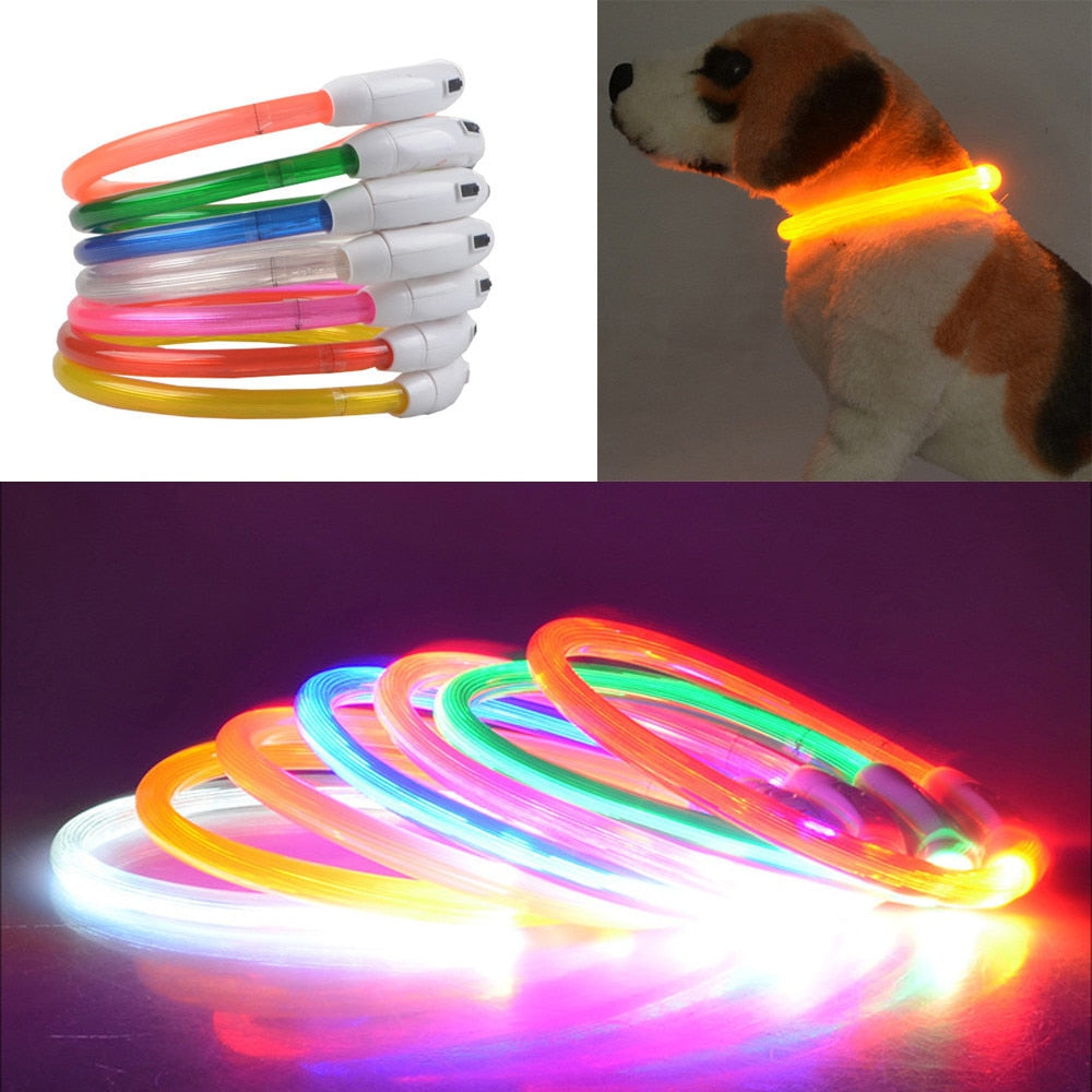 Night Safety  LED pet dog collar.