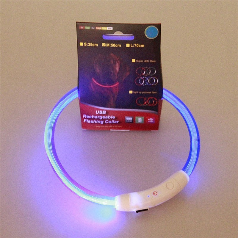 Night Safety  LED pet dog collar.