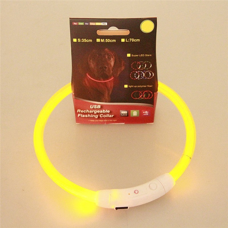 Night Safety  LED pet dog collar.