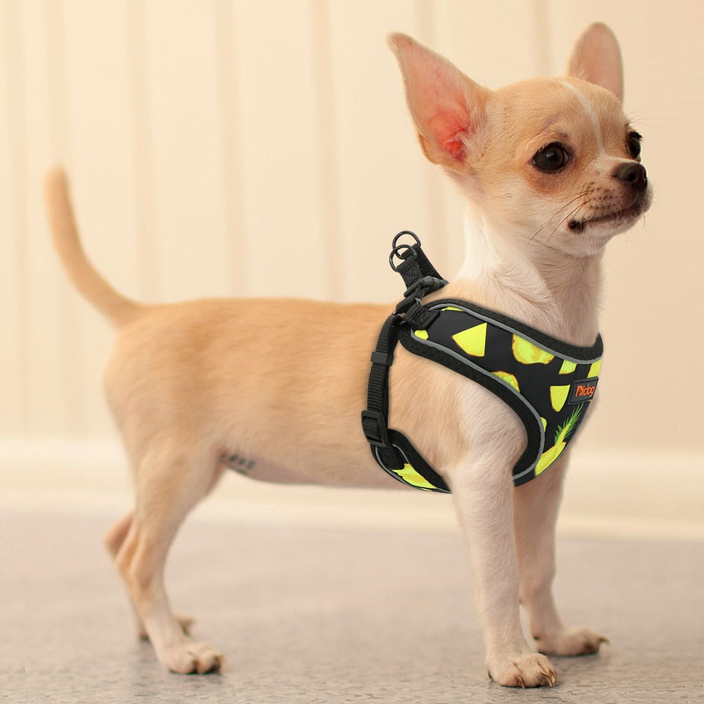 Reflective nylon harness for dogs and cats Printed medium small dog vest for cats