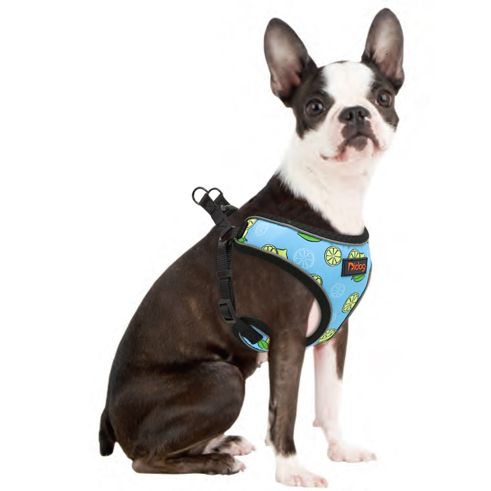 Reflective nylon harness for dogs and cats Printed medium small dog vest for cats